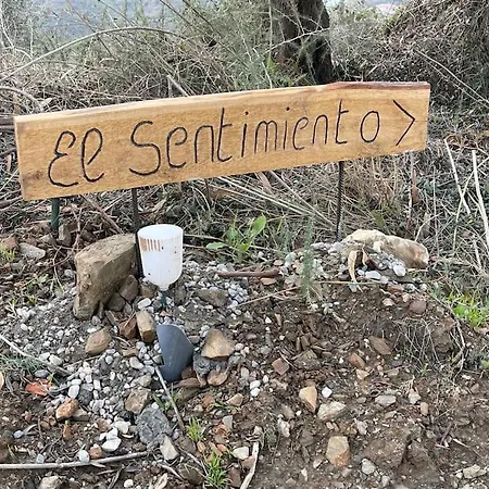 El Sentimiento Don Javier